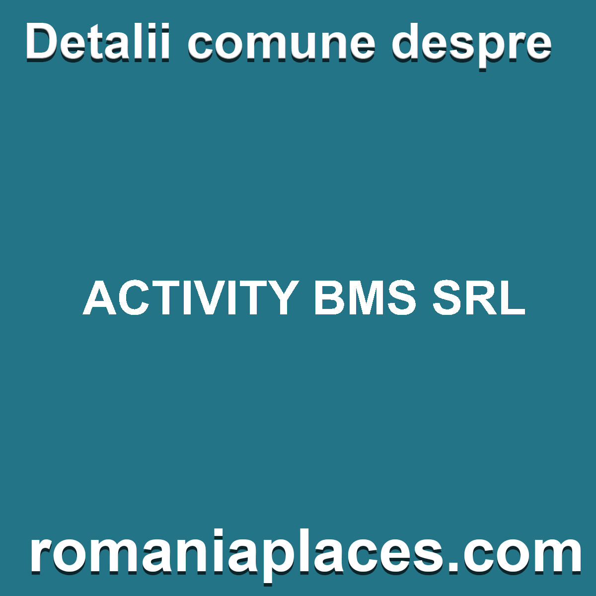 ACTIVITY BMS SRL