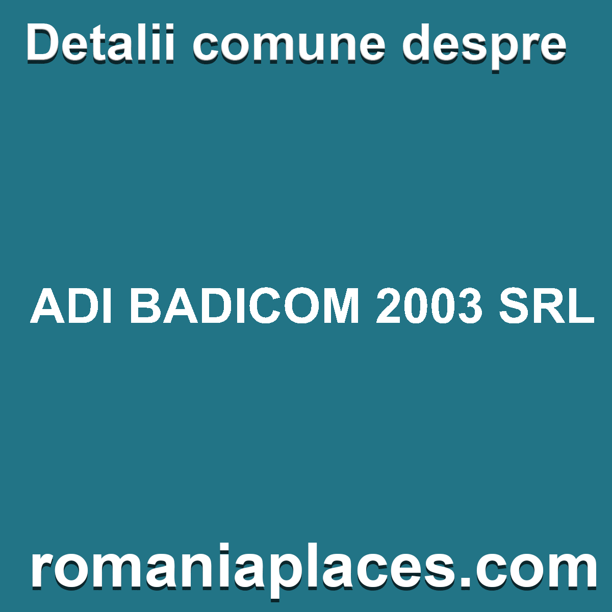 ADI BADICOM 2003 SRL