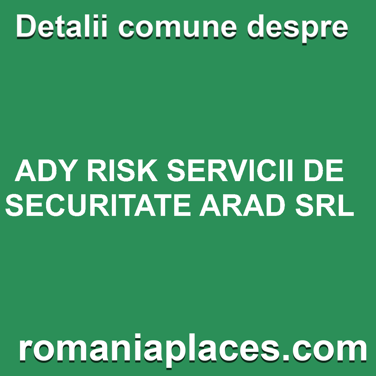 ADY RISK SERVICII DE SECURITATE ARAD SRL
