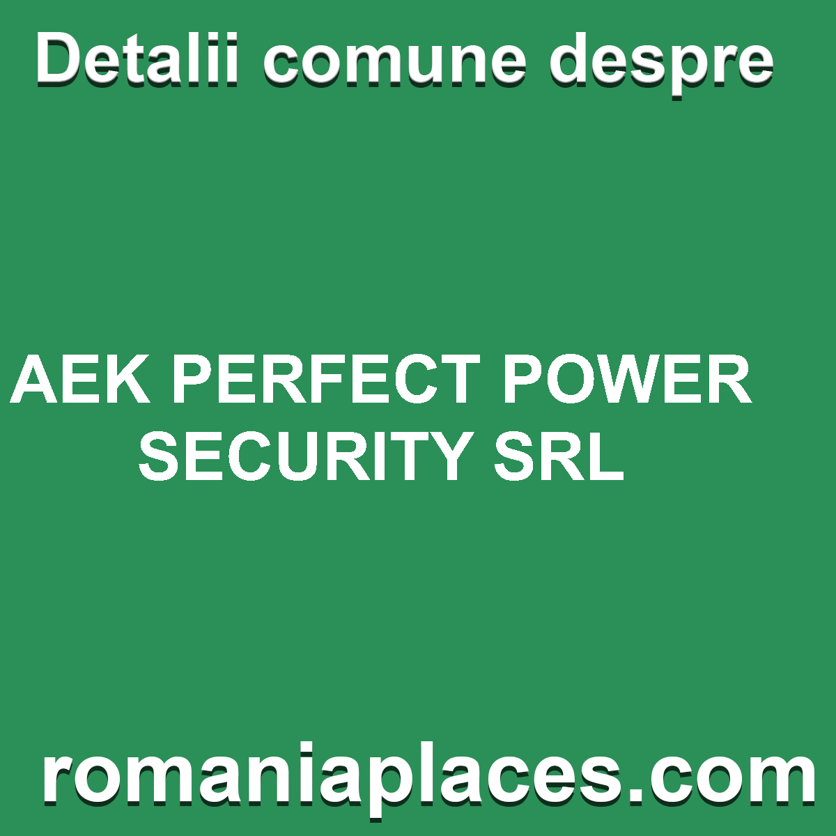 AEK PERFECT POWER SECURITY SRL