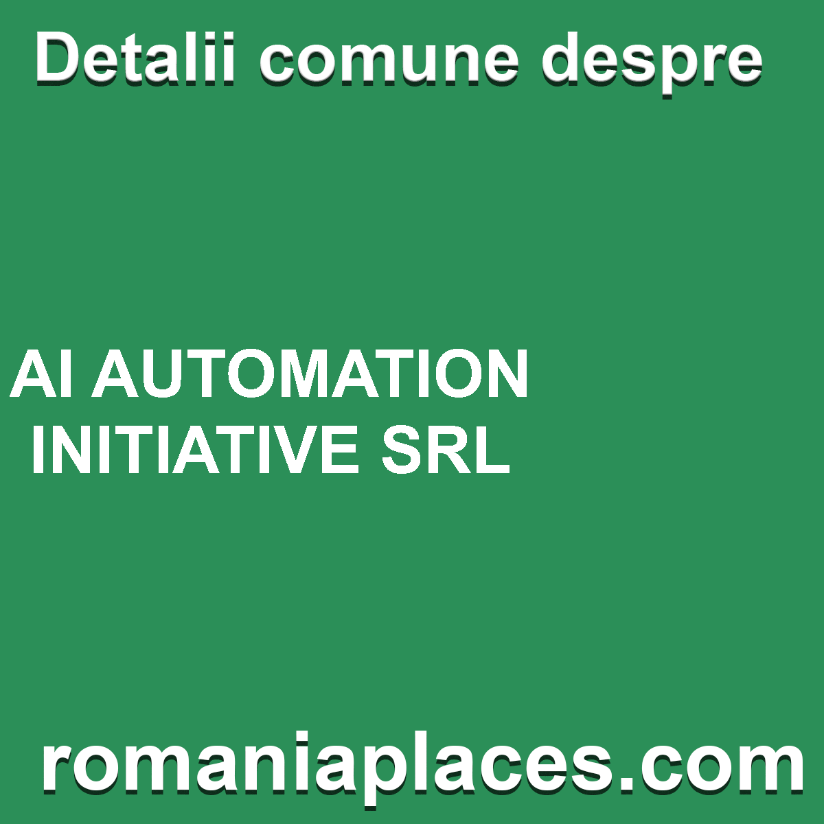 AI AUTOMATION INITIATIVE SRL