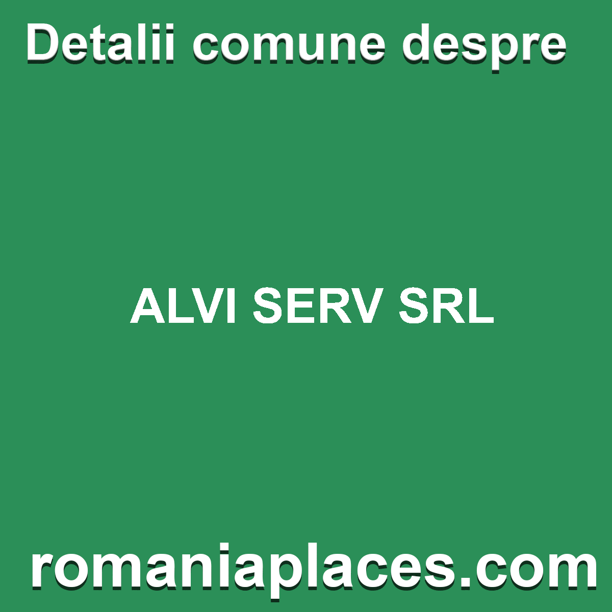 ALVI SERV SRL