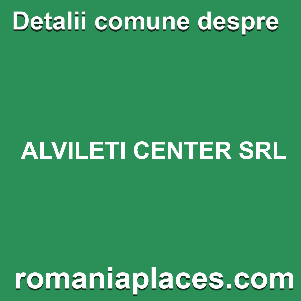 ALVILETI CENTER SRL