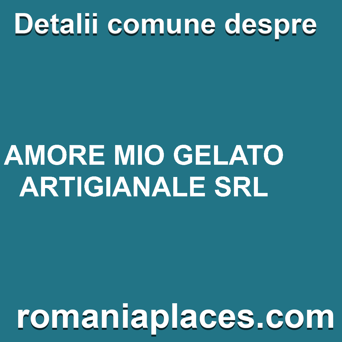 AMORE MIO GELATO ARTIGIANALE SRL