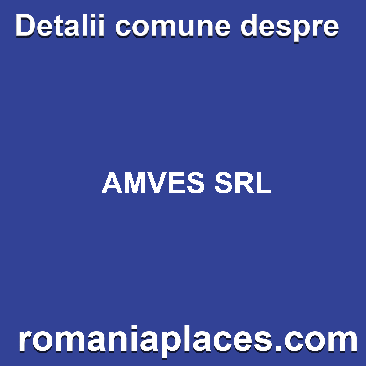 AMVES SRL