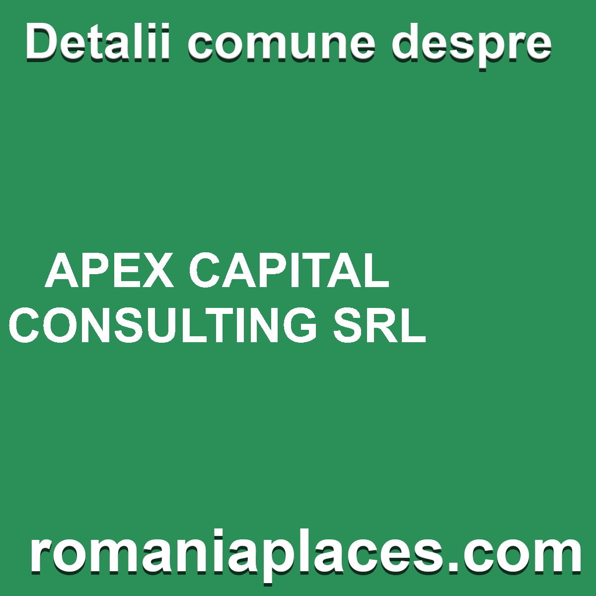 APEX CAPITAL CONSULTING SRL