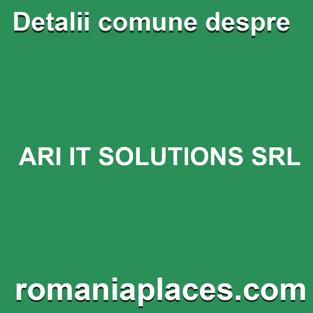 ARI IT SOLUTIONS SRL