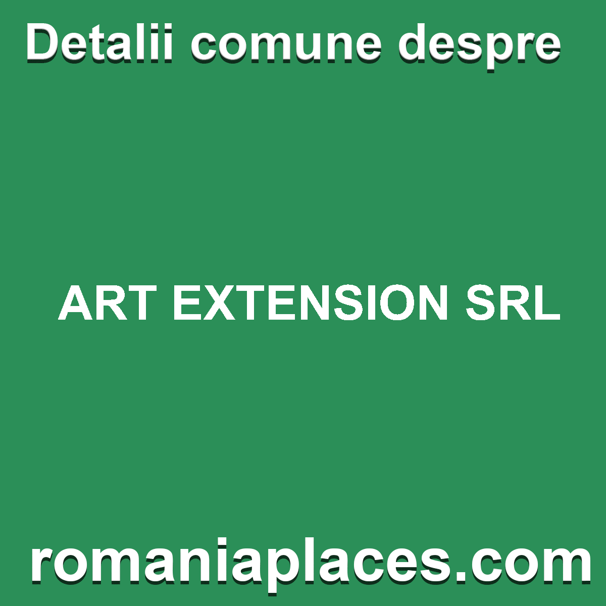ART EXTENSION SRL