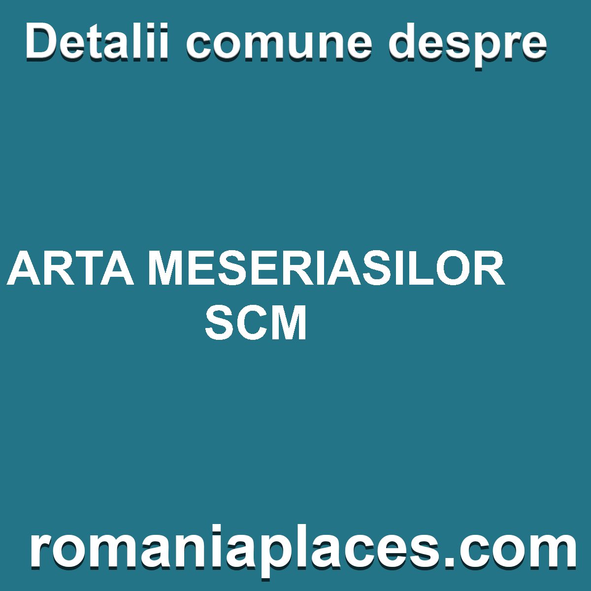 ARTA MESERIASILOR SCM
