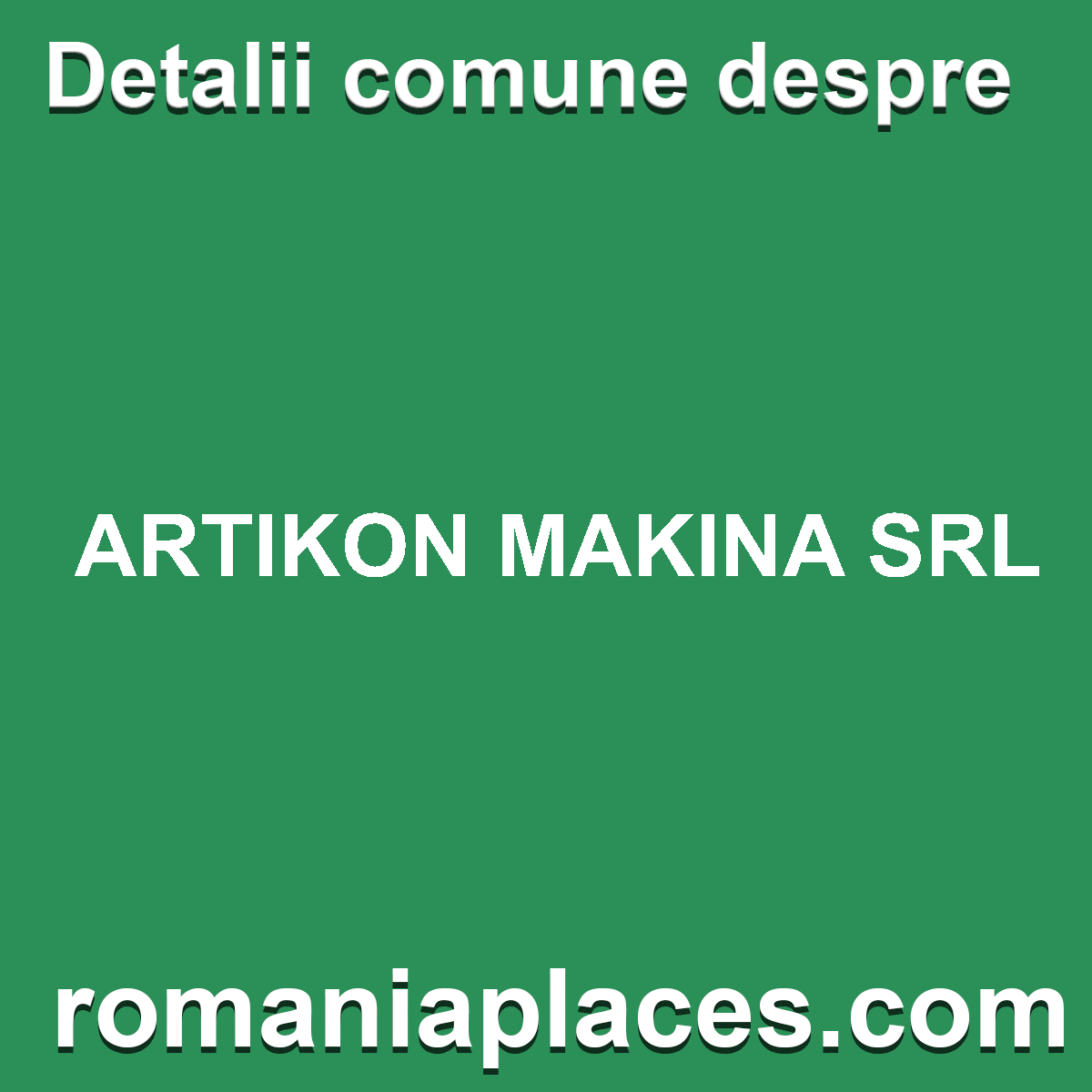 ARTIKON MAKINA SRL
