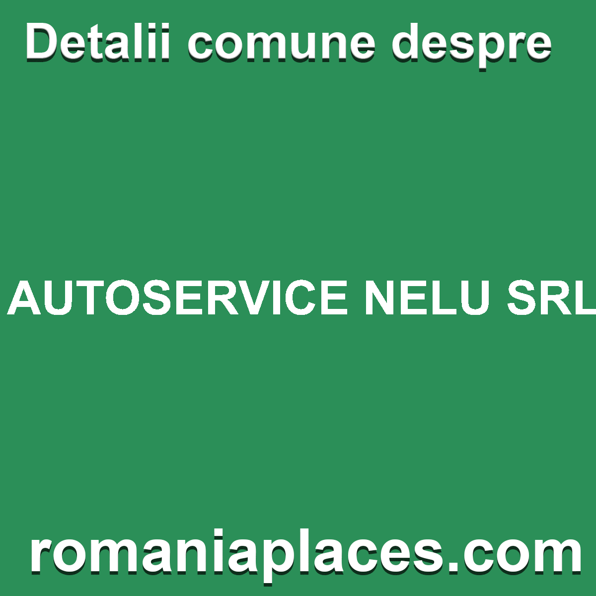 AUTOSERVICE NELU SRL