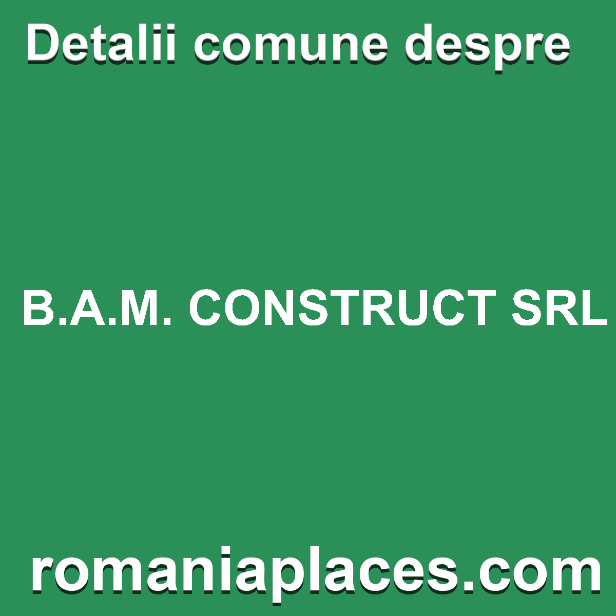 B.A.M. CONSTRUCT SRL