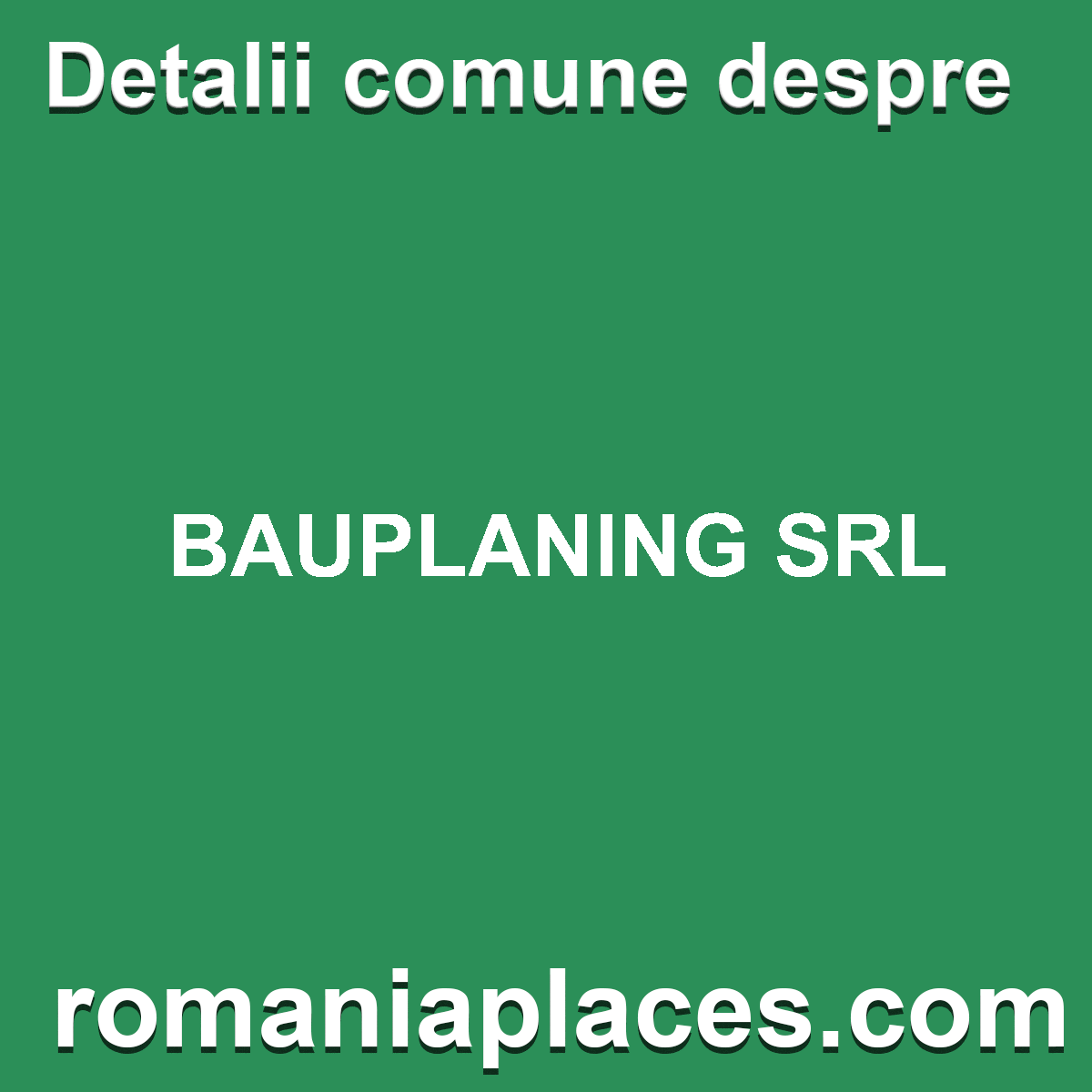 BAUPLANING SRL