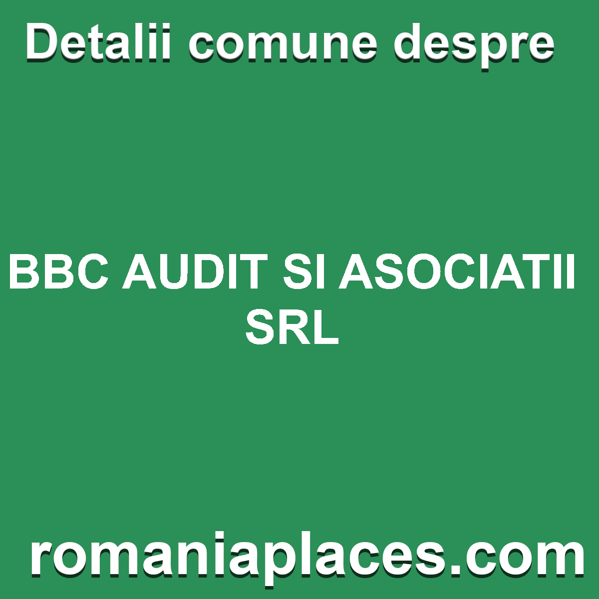 BBC AUDIT SI ASOCIATII SRL