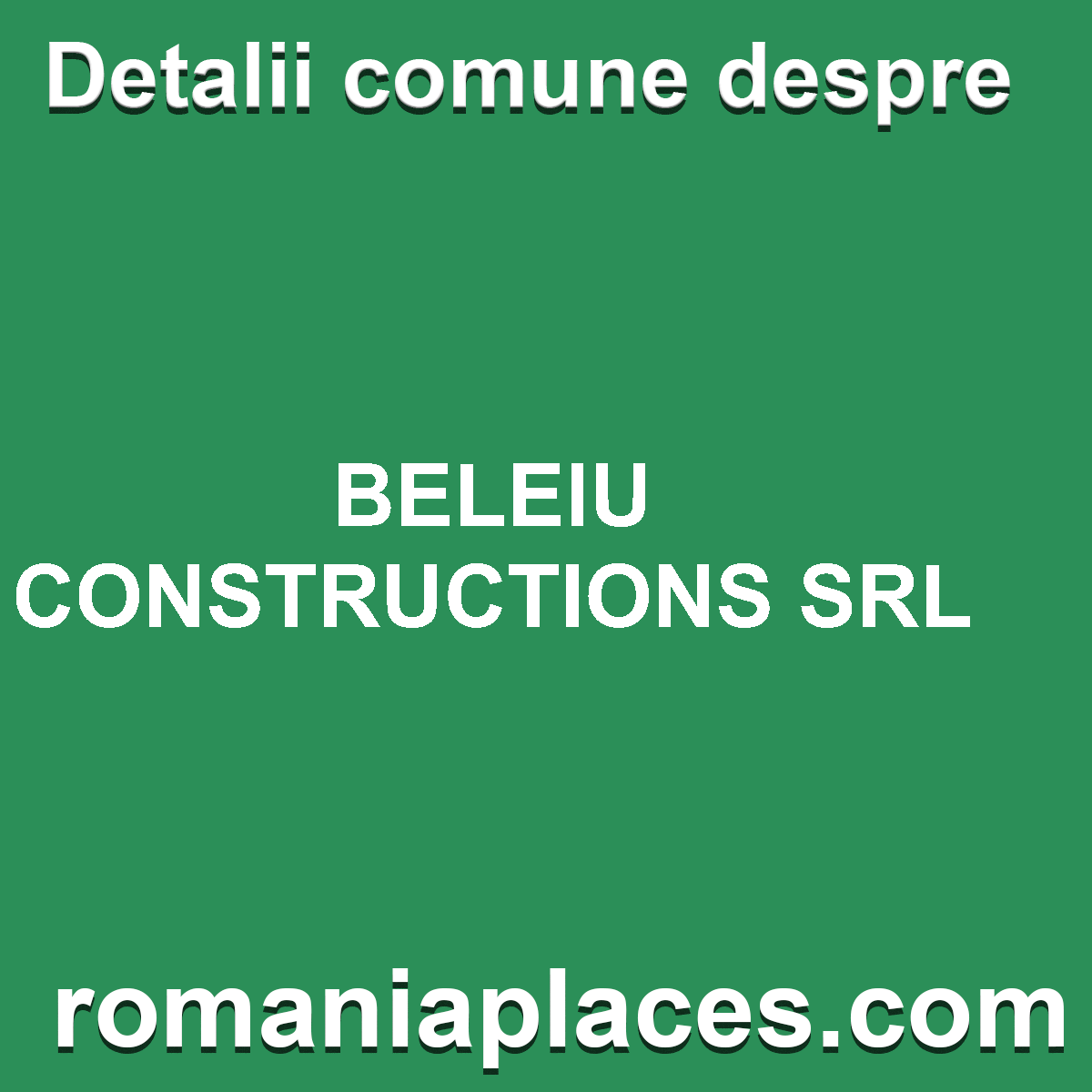 BELEIU CONSTRUCTIONS SRL