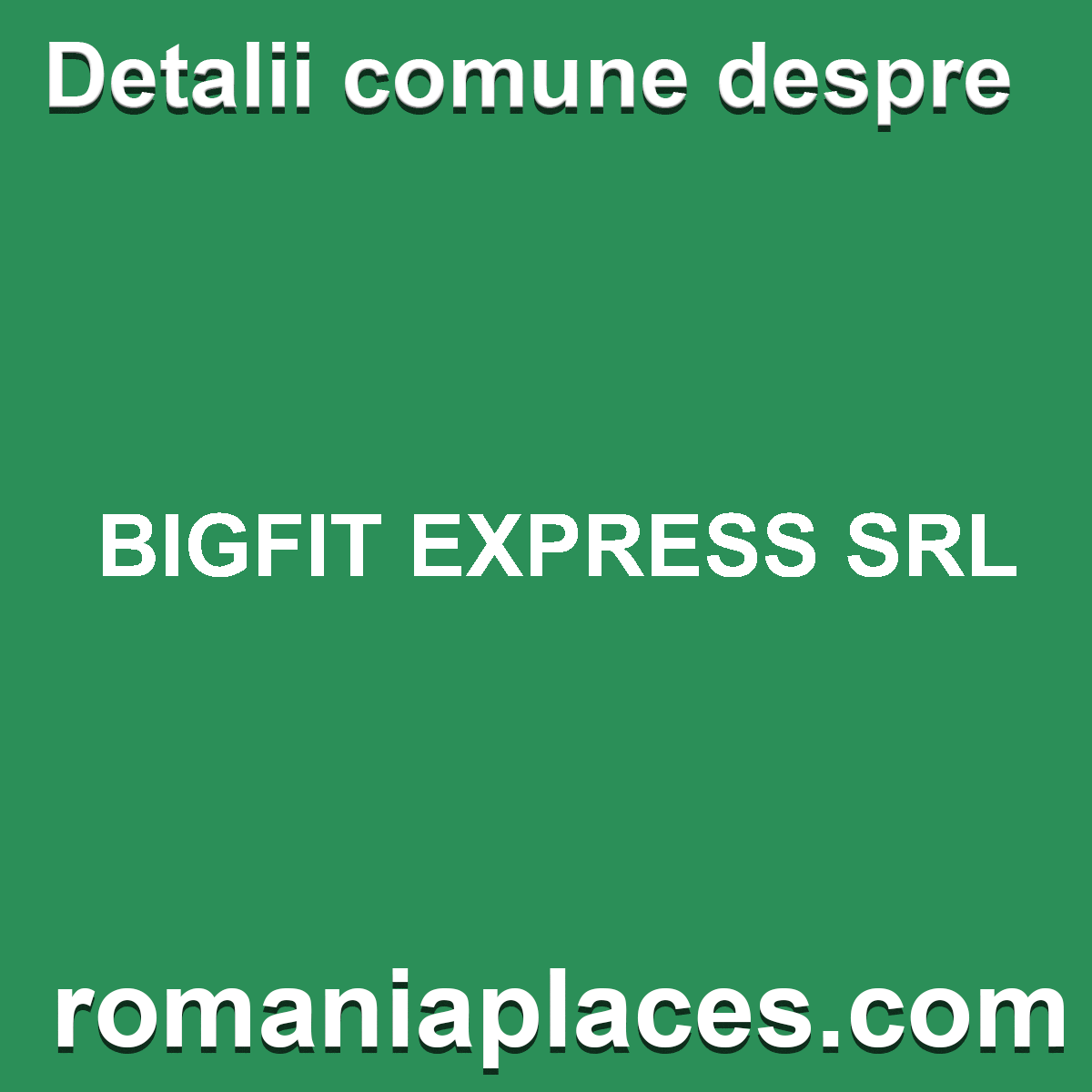 BIGFIT EXPRESS SRL