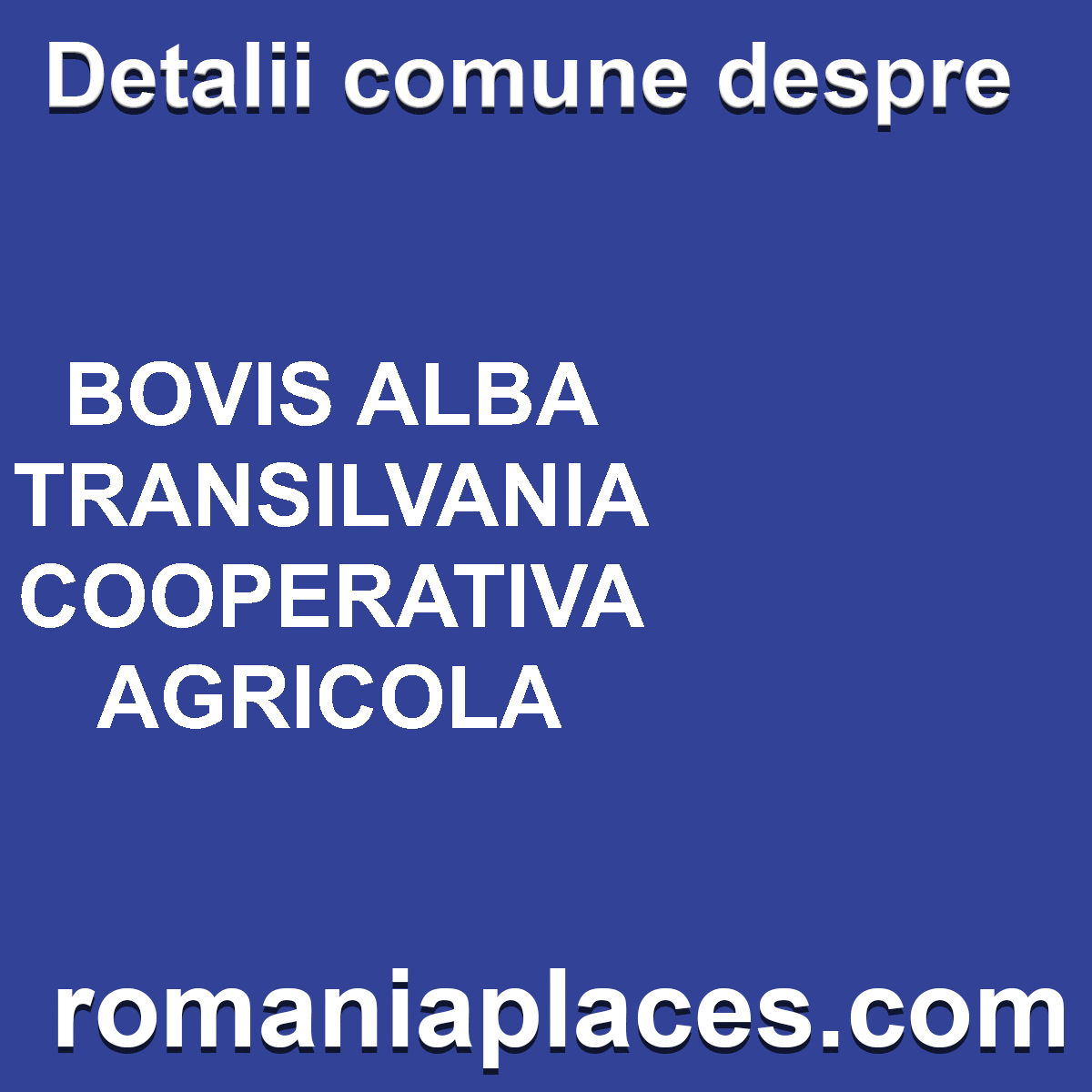BOVIS ALBA TRANSILVANIA COOPERATIVA AGRICOLA