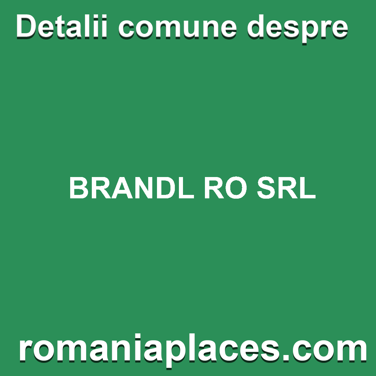 BRANDL RO SRL