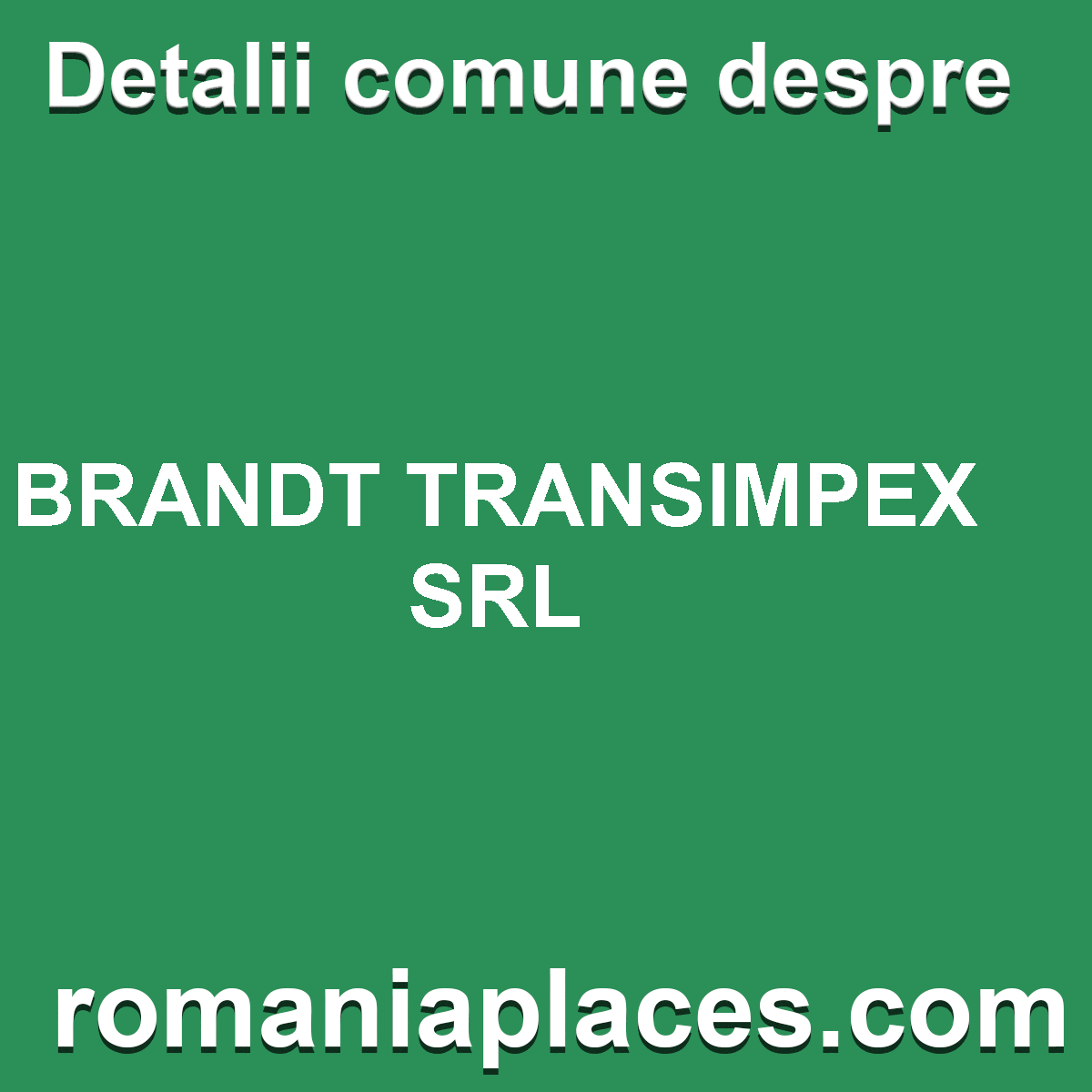 BRANDT TRANSIMPEX SRL