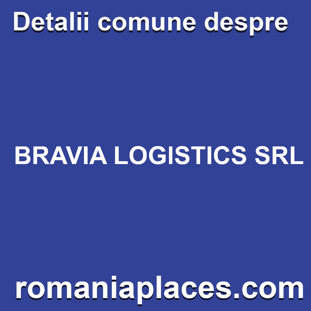 BRAVIA LOGISTICS SRL