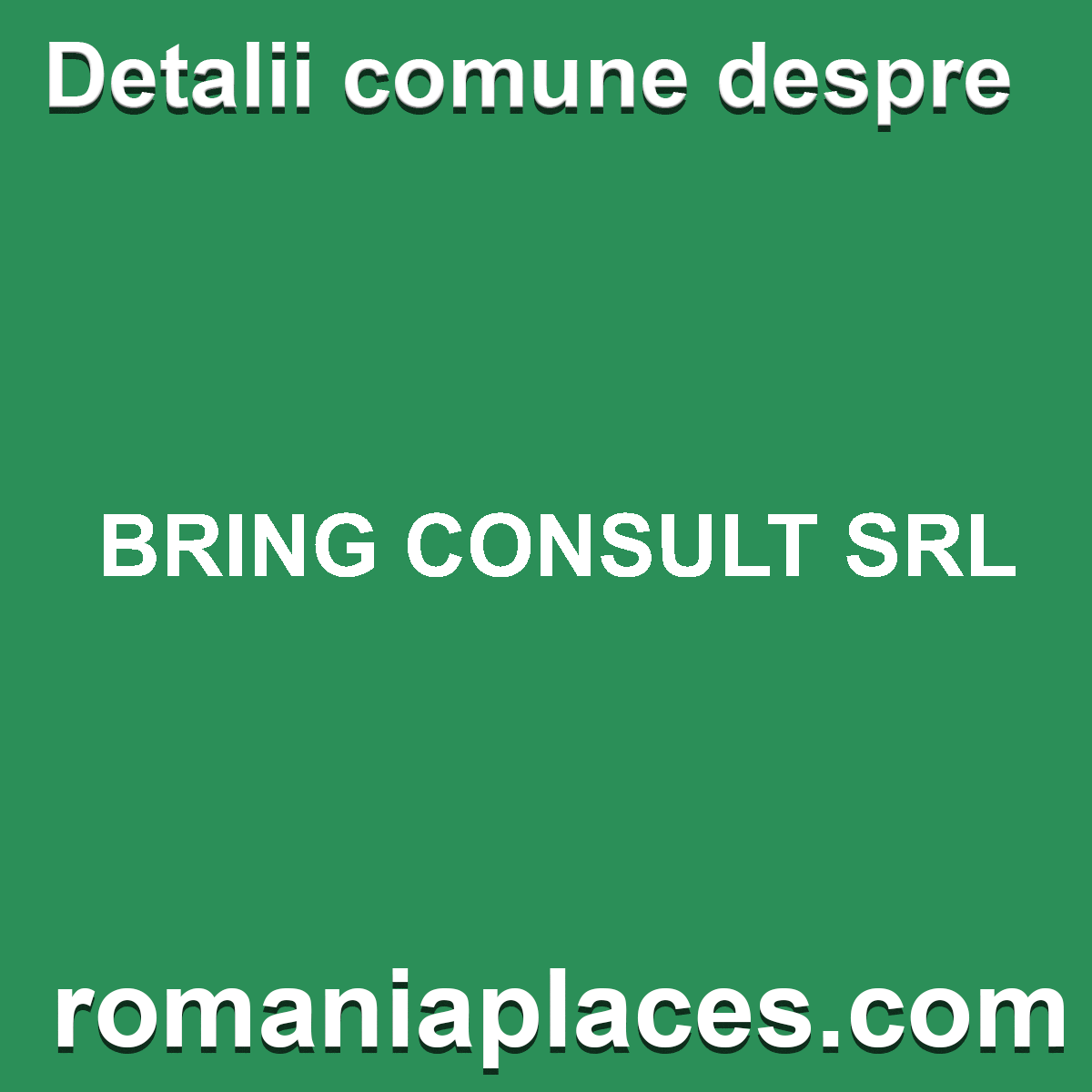 BRING CONSULT SRL