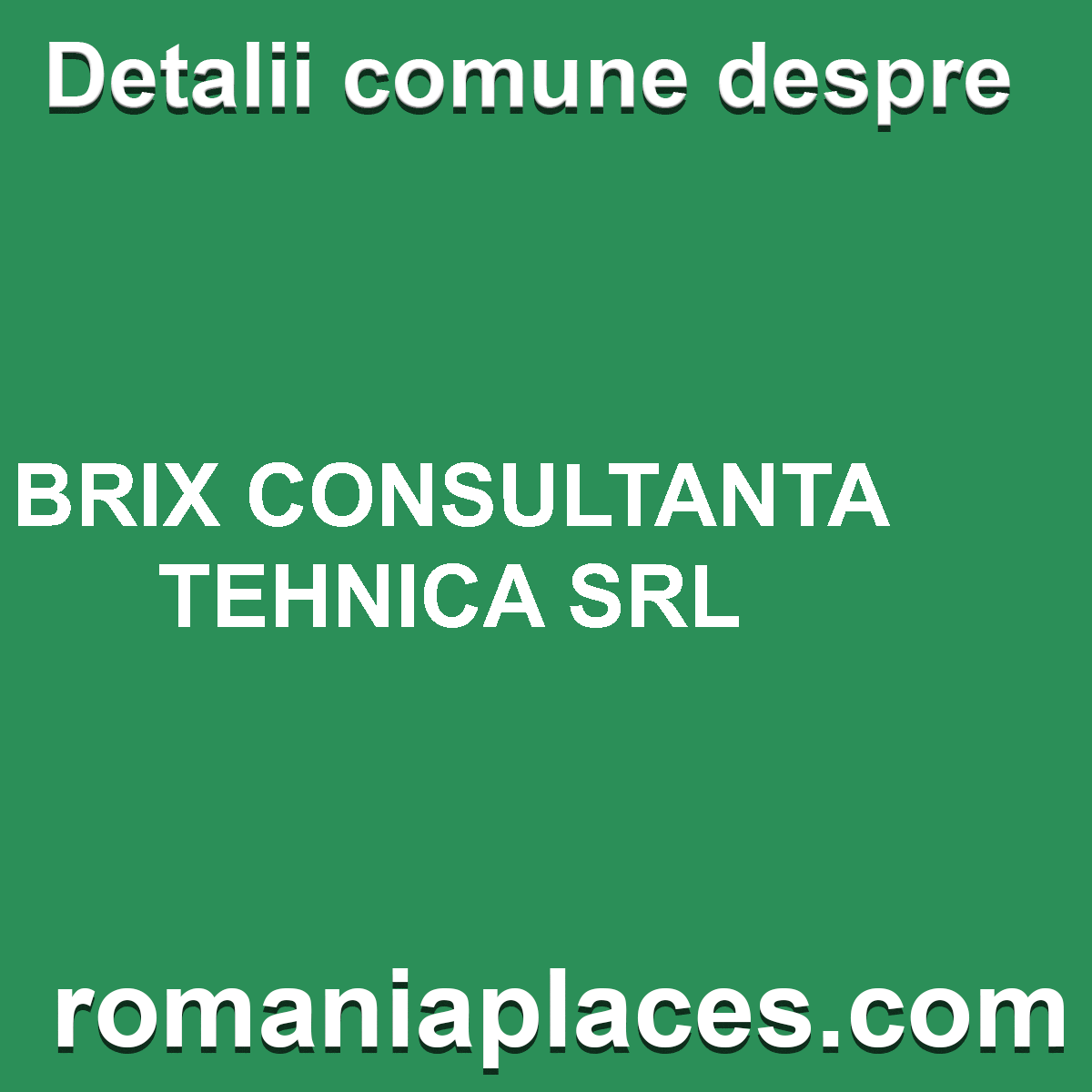 BRIX CONSULTANTA TEHNICA SRL