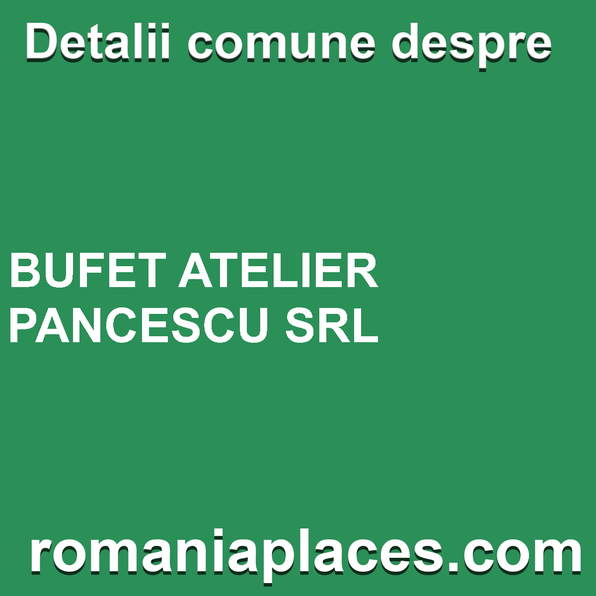 BUFET ATELIER PANCESCU SRL
