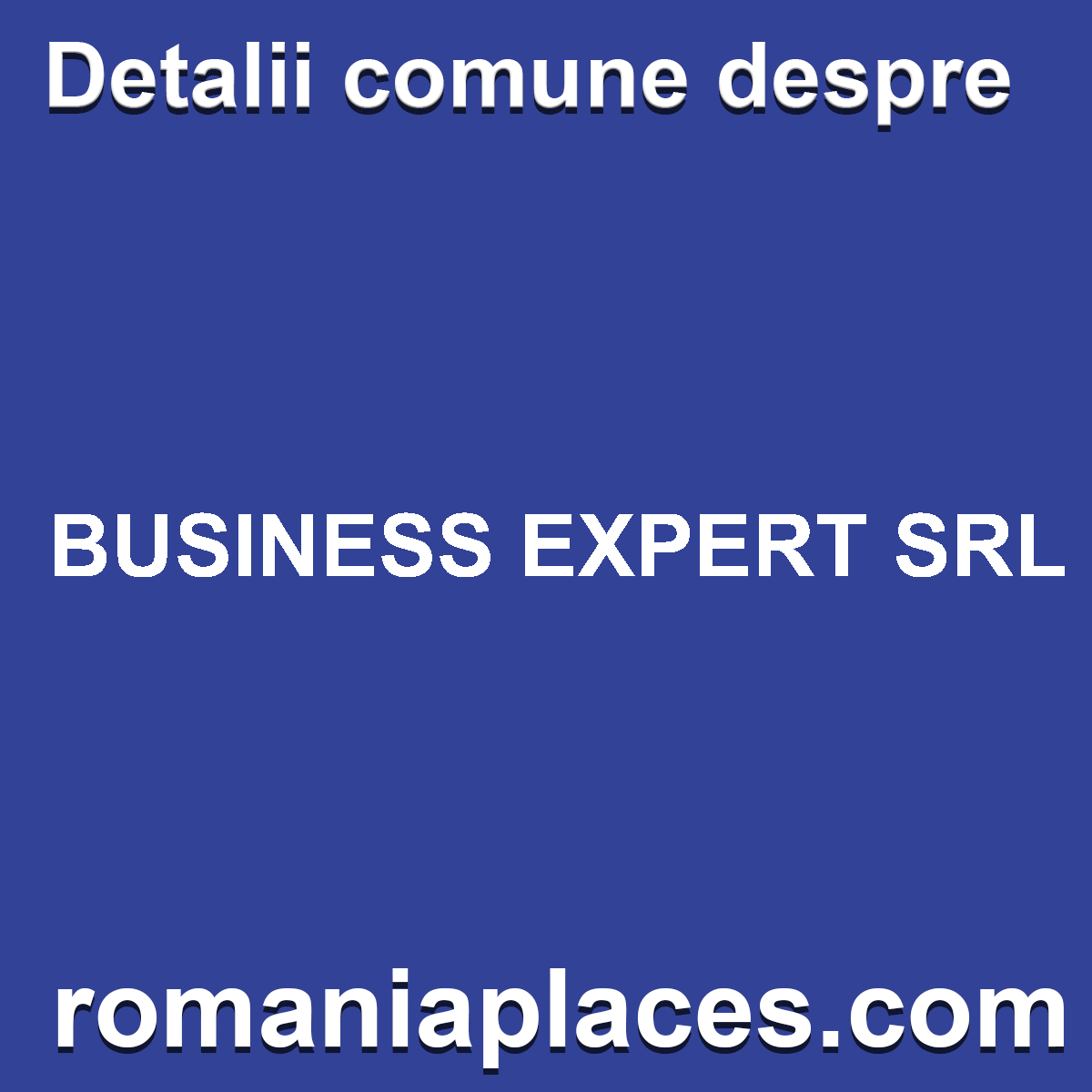 BUSINESS EXPERT SRL