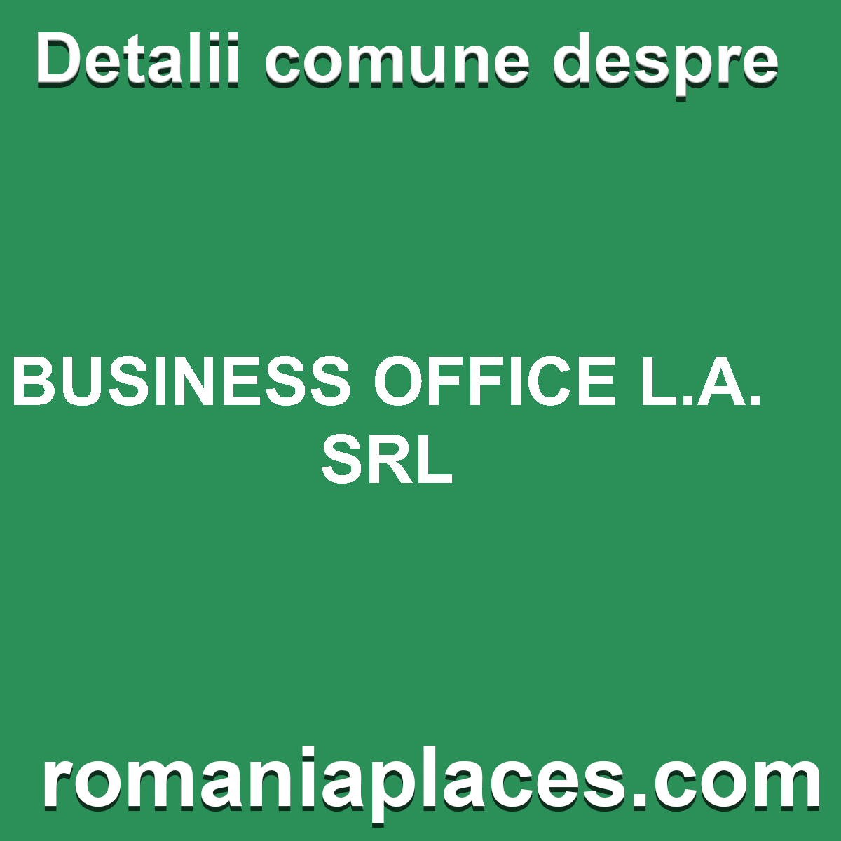 BUSINESS OFFICE L.A. SRL