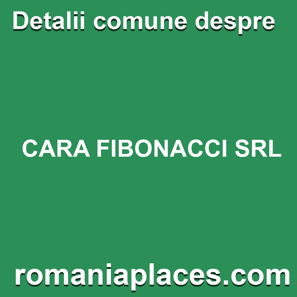CARA FIBONACCI SRL