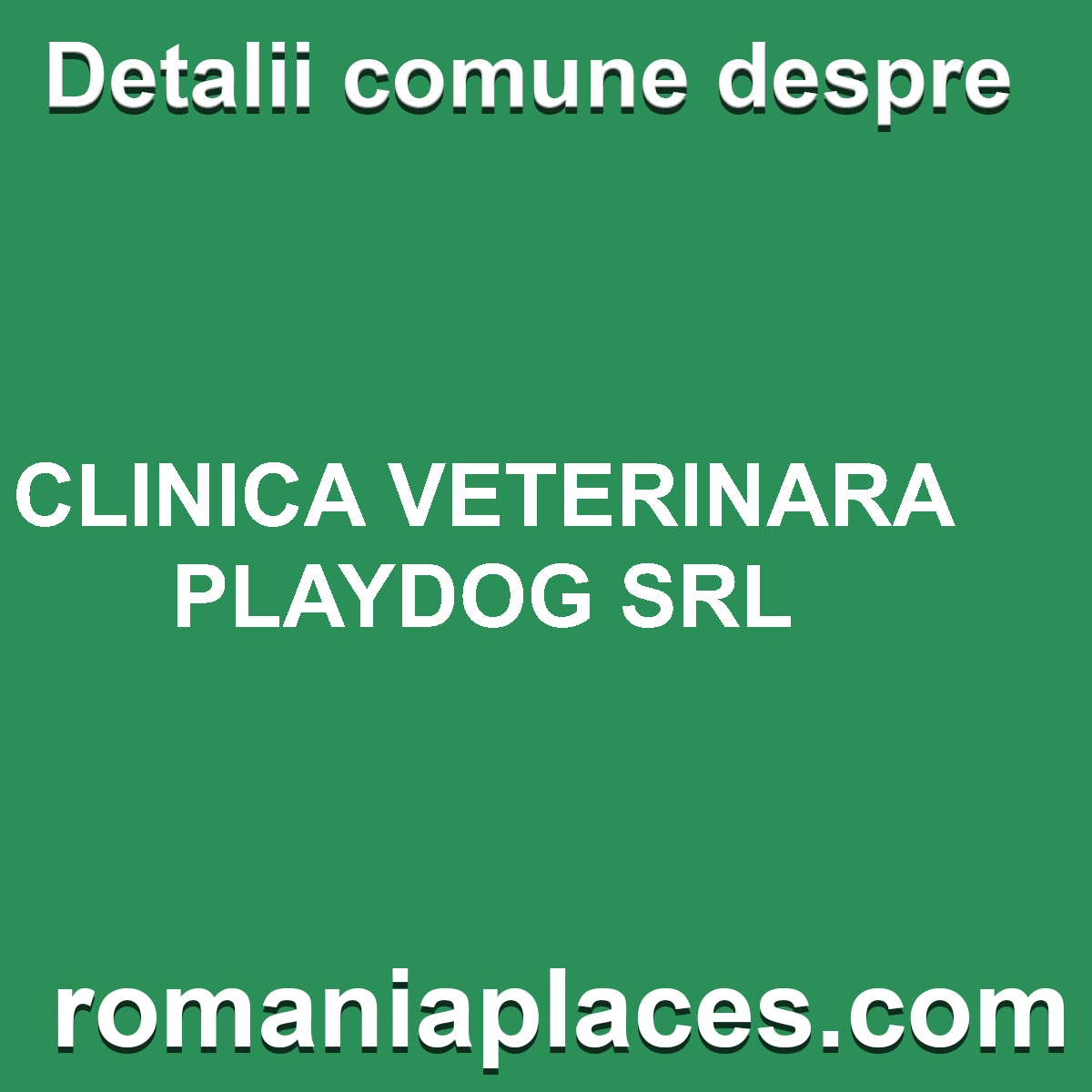 CLINICA VETERINARA PLAYDOG SRL
