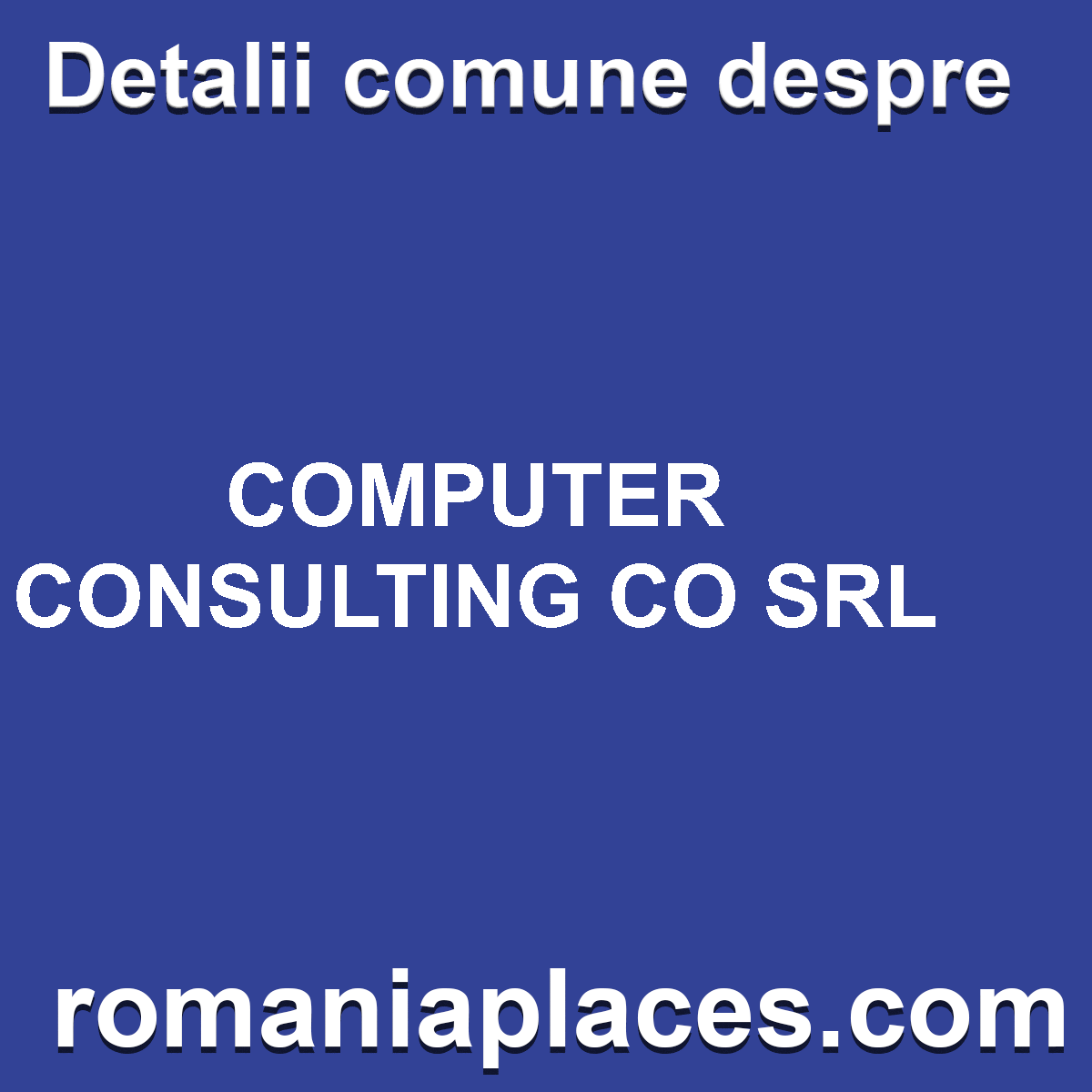 COMPUTER CONSULTING CO SRL