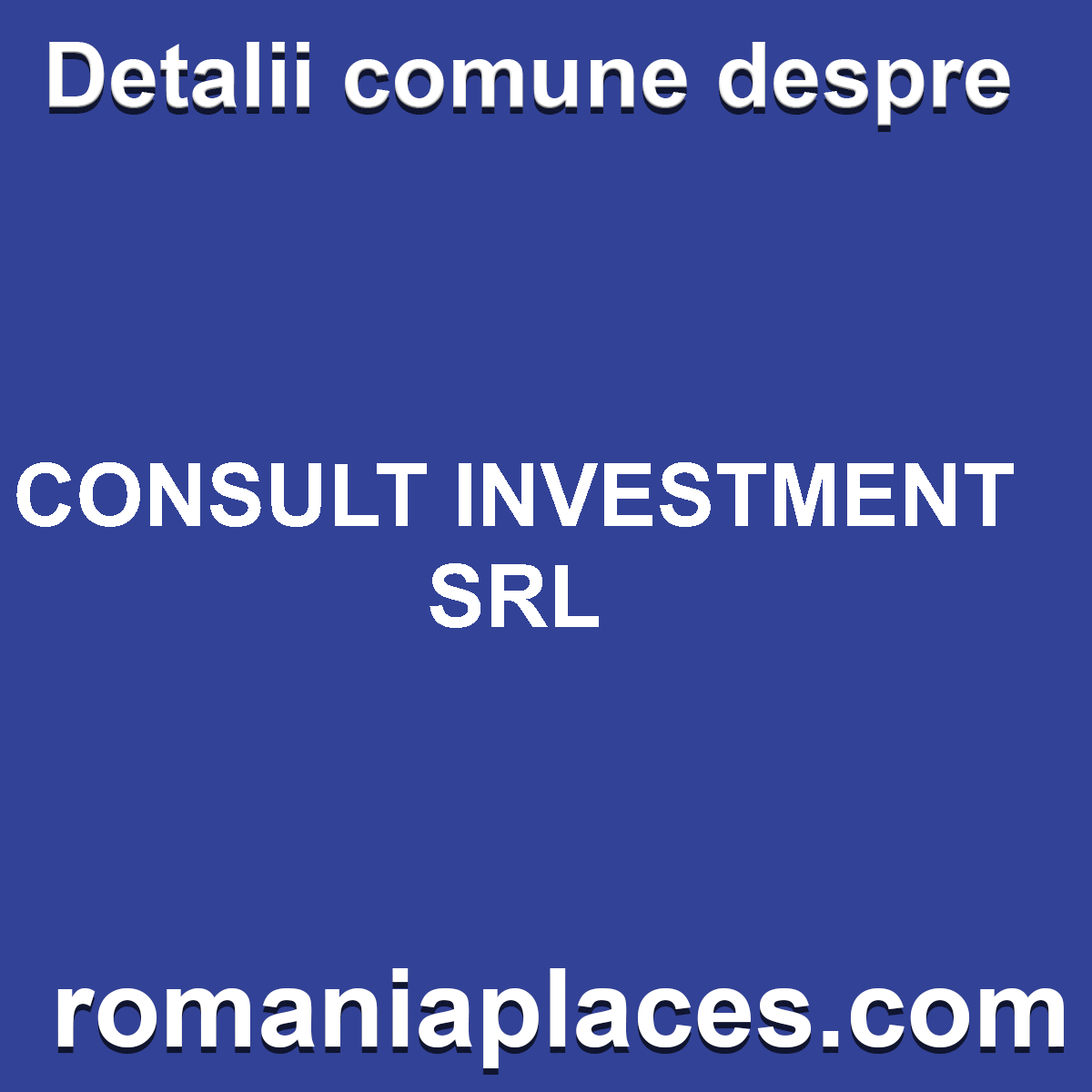 CONSULT INVESTMENT SRL