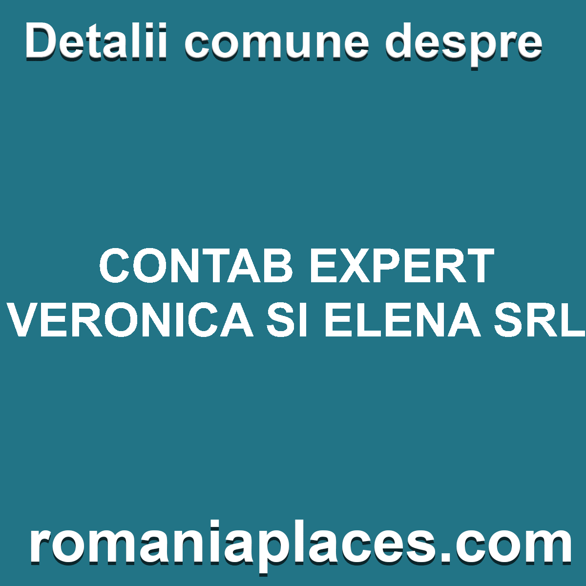 CONTAB EXPERT VERONICA SI ELENA SRL