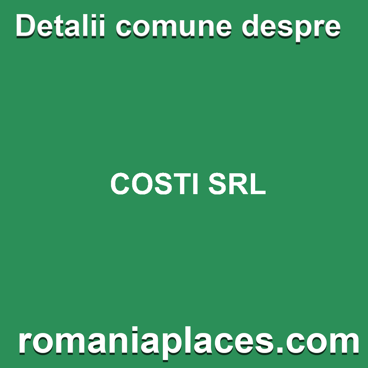 COSTI SRL