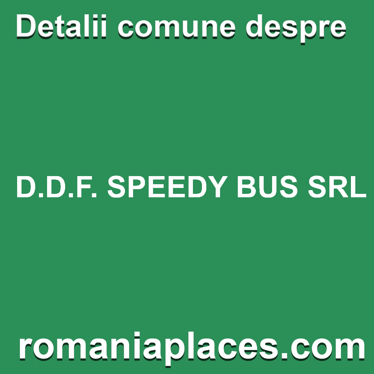 D.D.F. SPEEDY BUS SRL