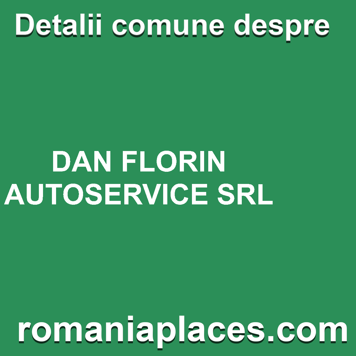 DAN FLORIN AUTOSERVICE SRL