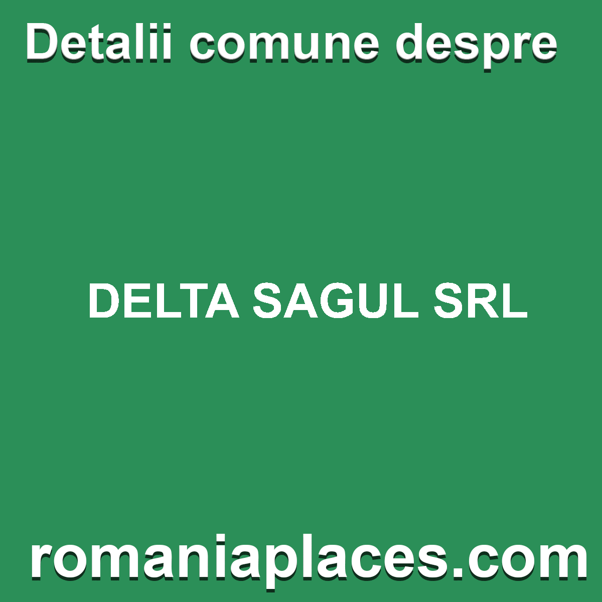DELTA SAGUL SRL