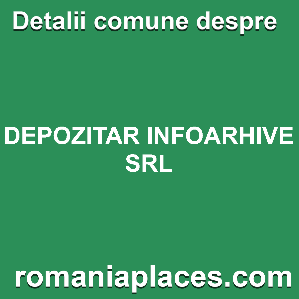DEPOZITAR INFOARHIVE SRL
