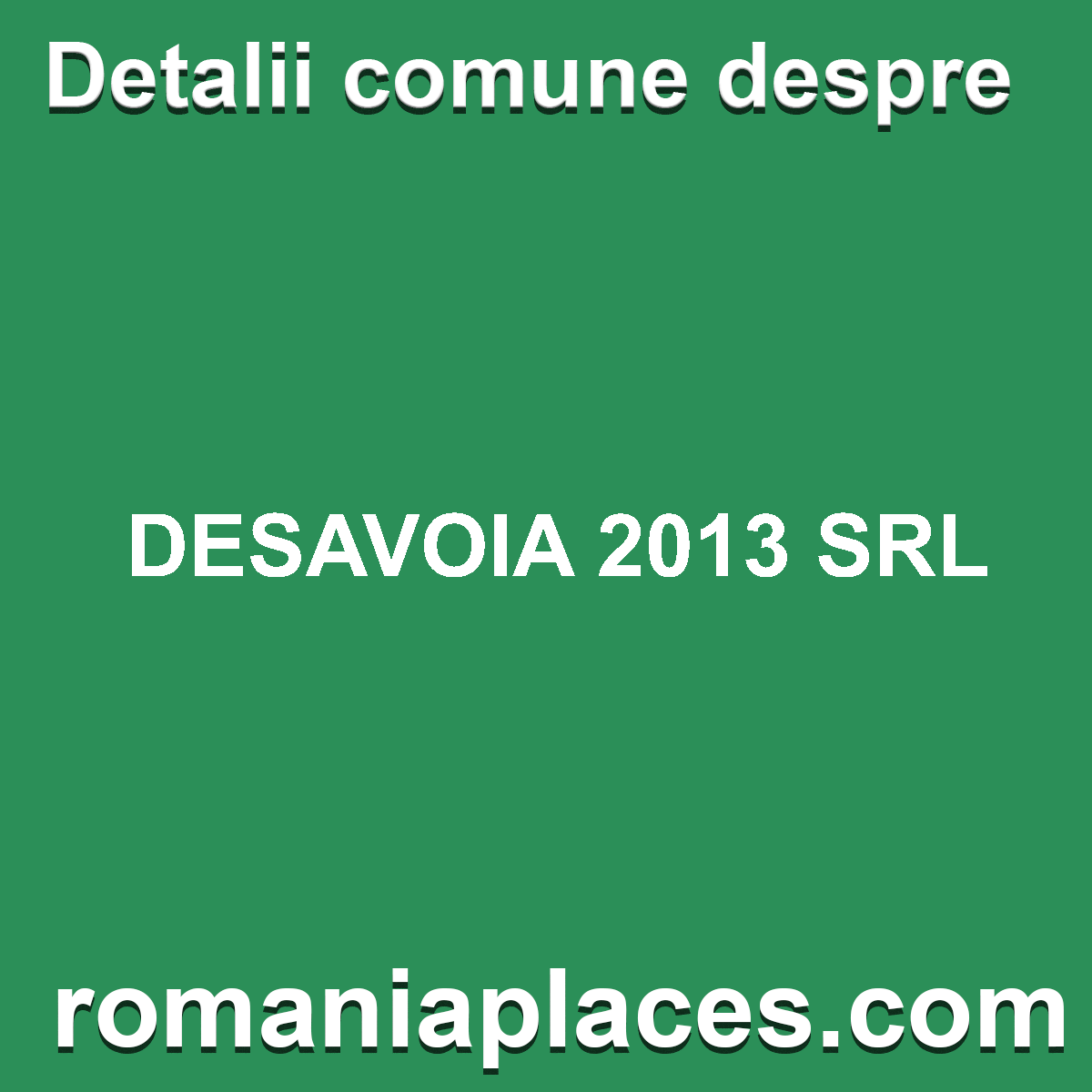 DESAVOIA 2013 SRL