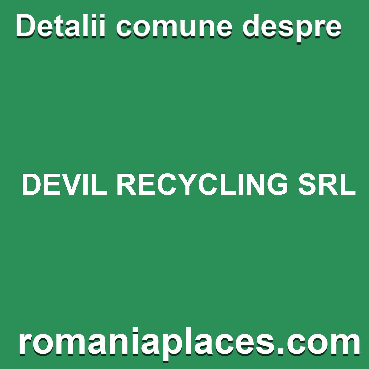 DEVIL RECYCLING SRL