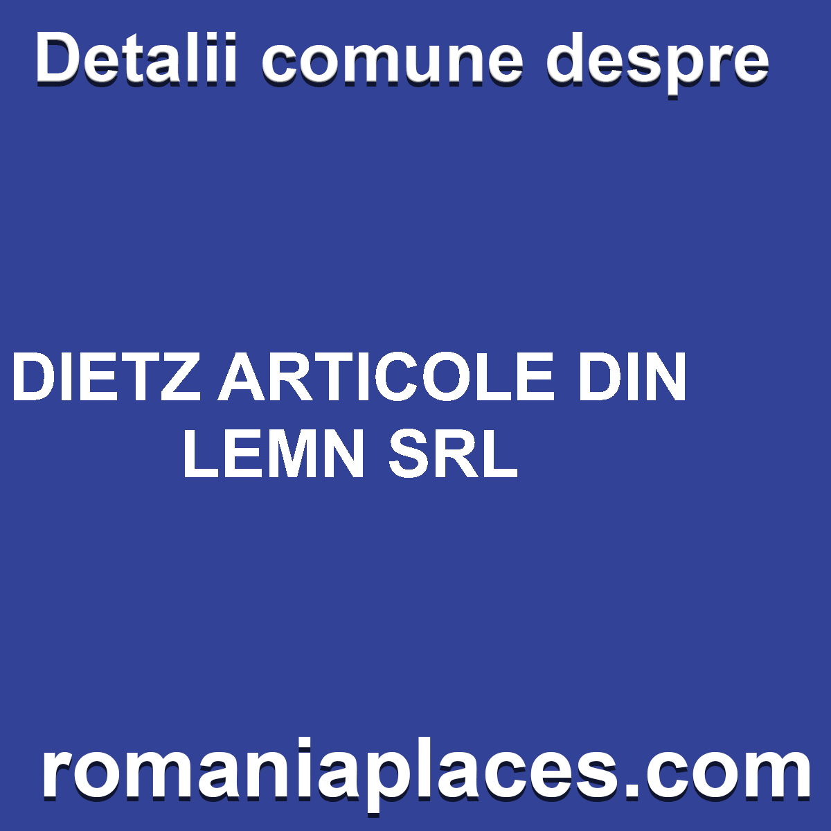 DIETZ ARTICOLE DIN LEMN SRL