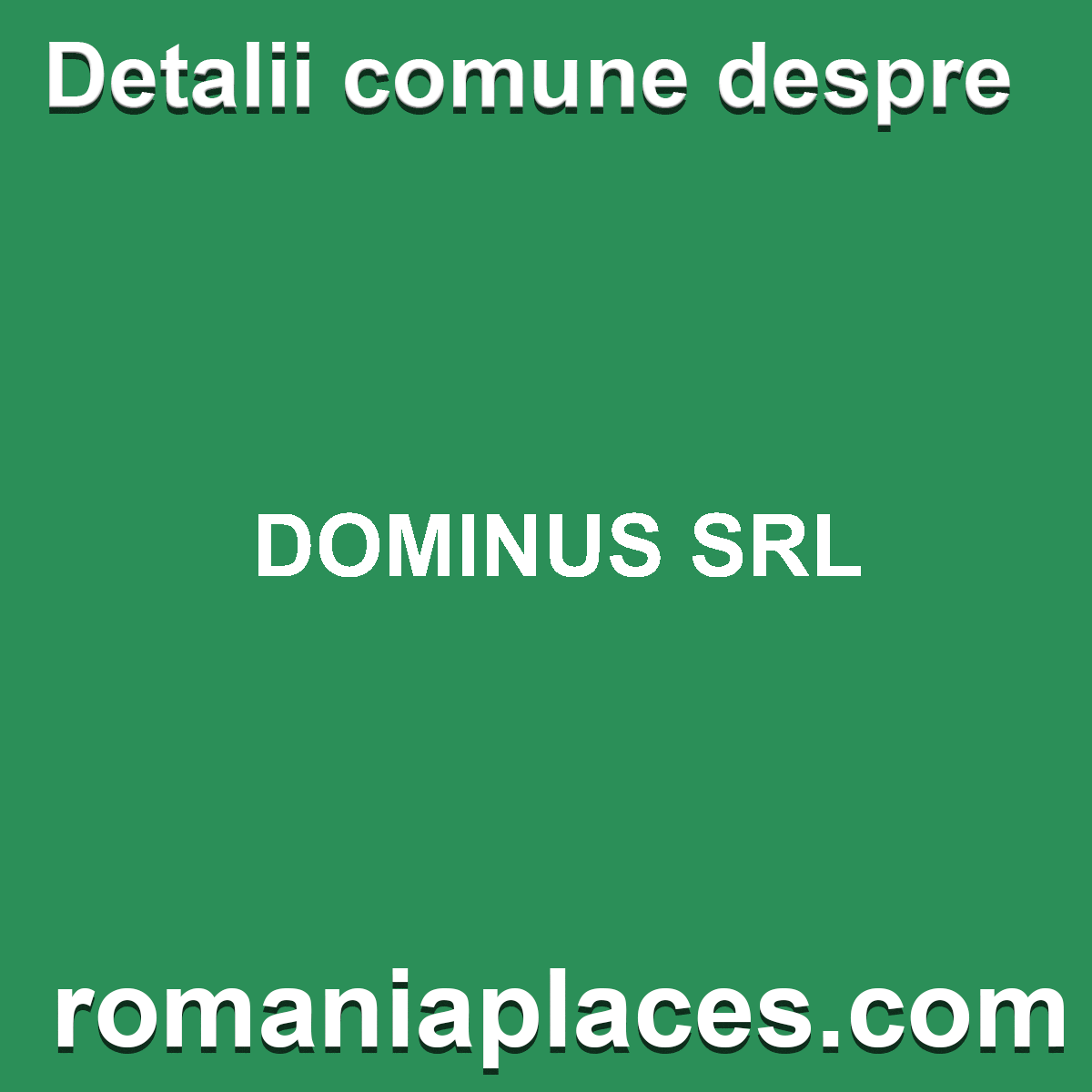 DOMINUS SRL