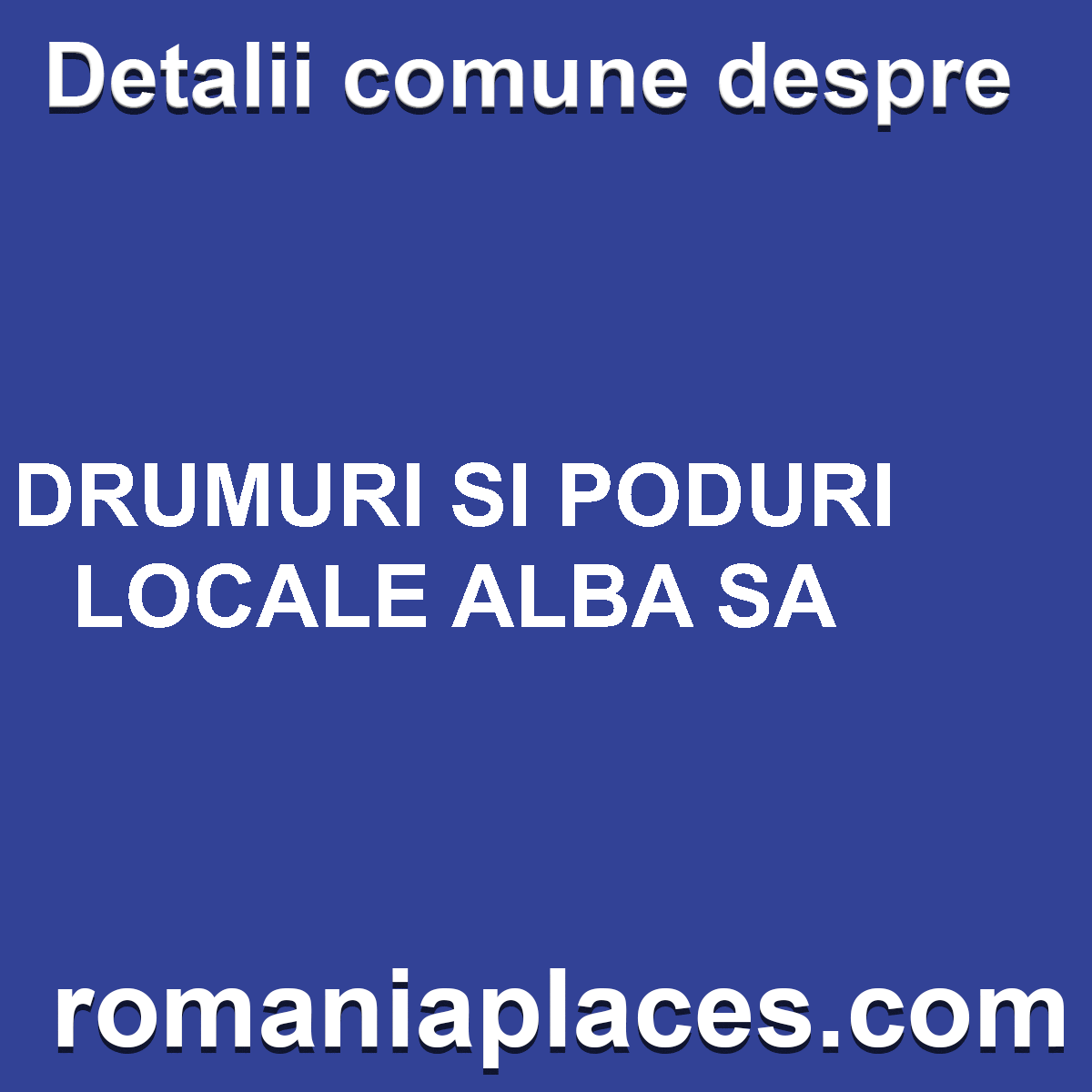DRUMURI SI PODURI LOCALE ALBA SA