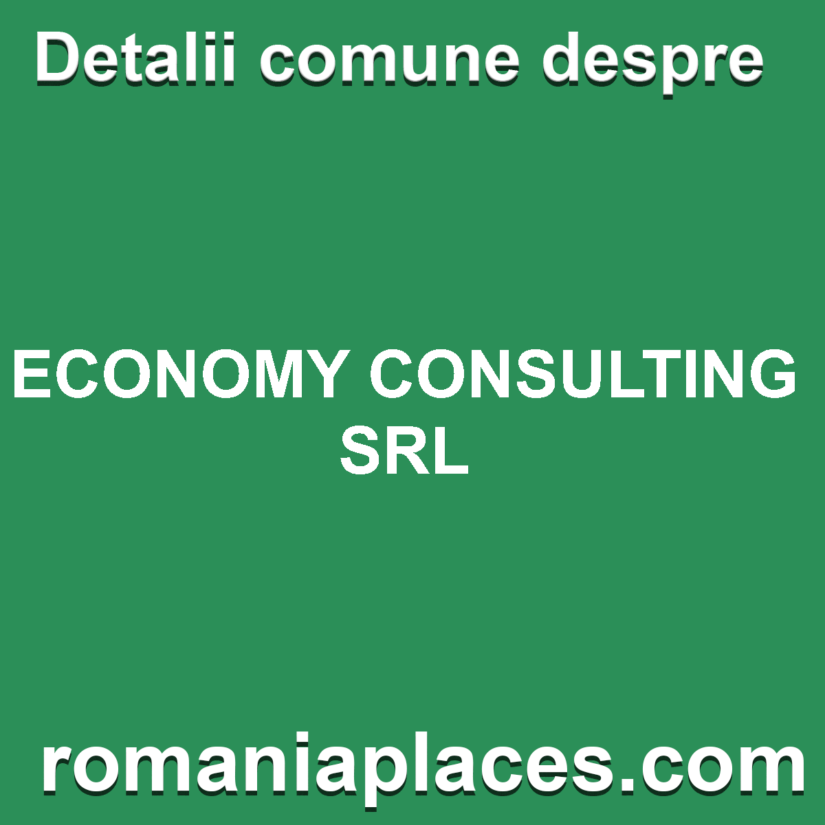 ECONOMY CONSULTING SRL