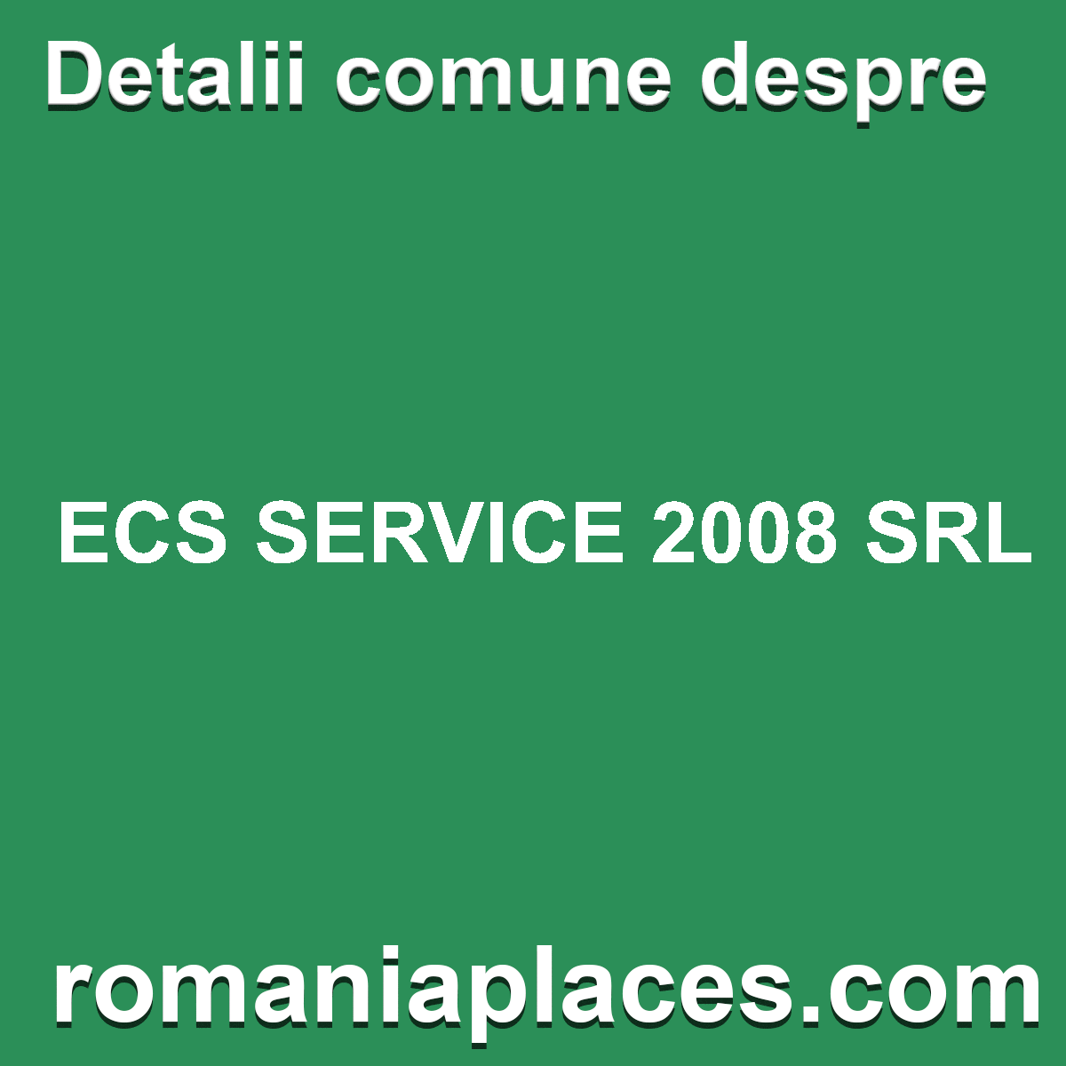 ECS SERVICE 2008 SRL