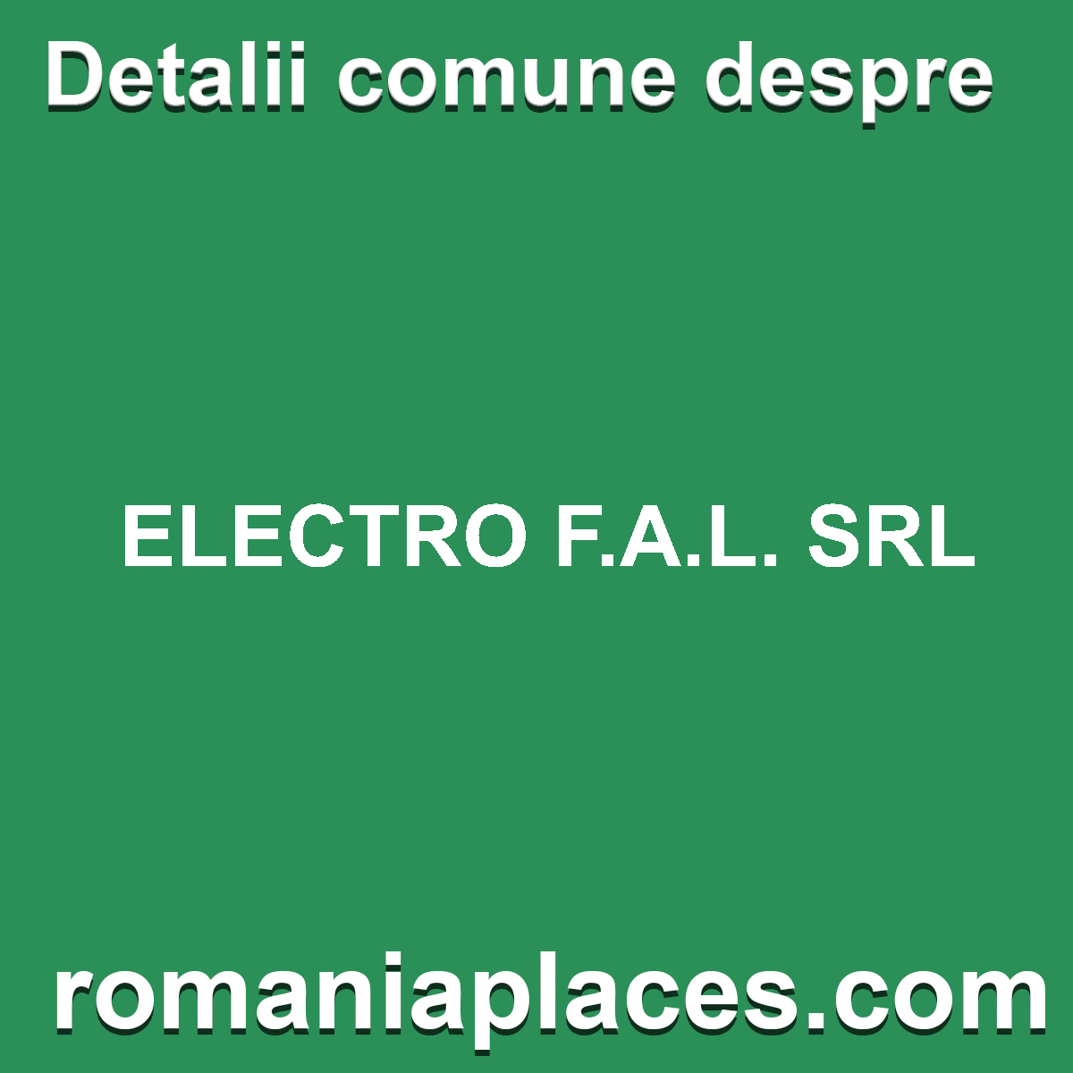 ELECTRO F.A.L. SRL