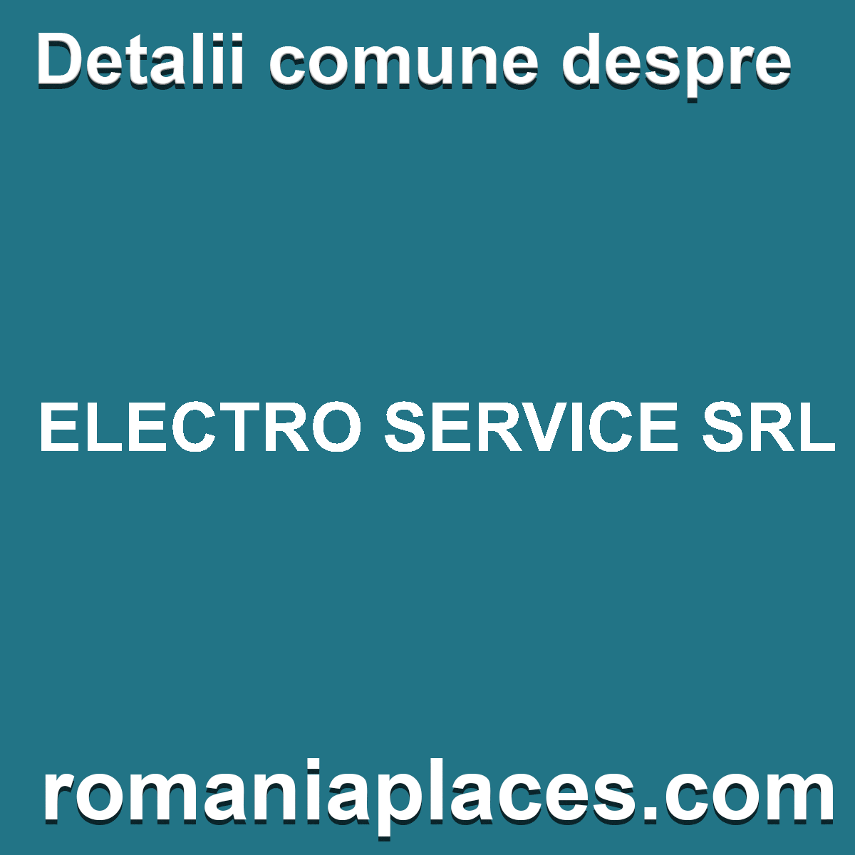 ELECTRO SERVICE SRL