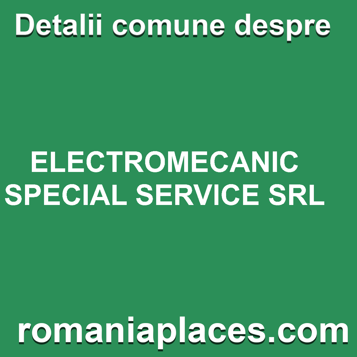 ELECTROMECANIC SPECIAL SERVICE SRL