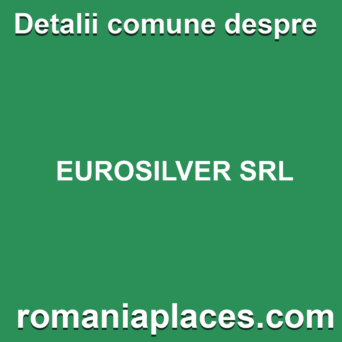 EUROSILVER SRL